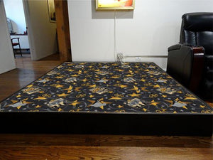 platform riser with carpeting